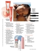 InStyle Beauty 1/25  Download